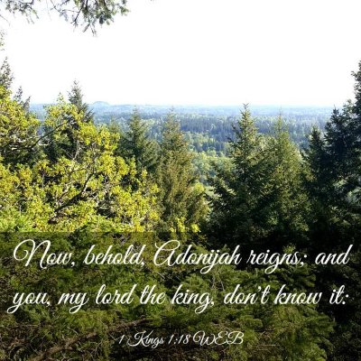 Picture 03 - 1 Kings 1:18 WEB - Now, behold, Adonijah reigns; and you, my lord - Bible Verse Picture
