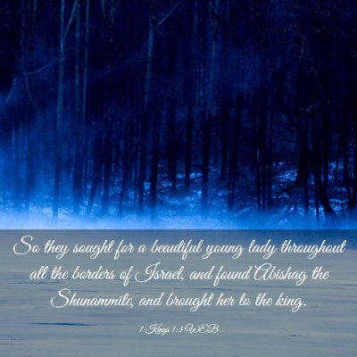 Picture 03 - 1 Kings 1:3 WEB - So they sought for a beautiful young lady - Bible Verse Picture