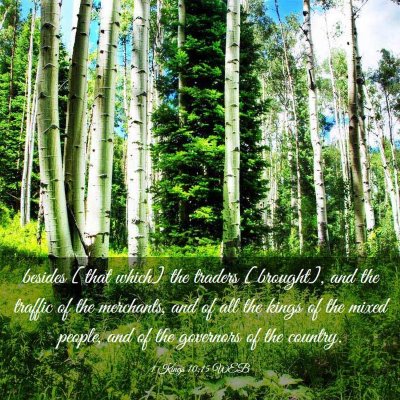 Picture 03 - 1 Kings 10:15 WEB - besides [that which] the traders [brought], and - Bible Verse Picture