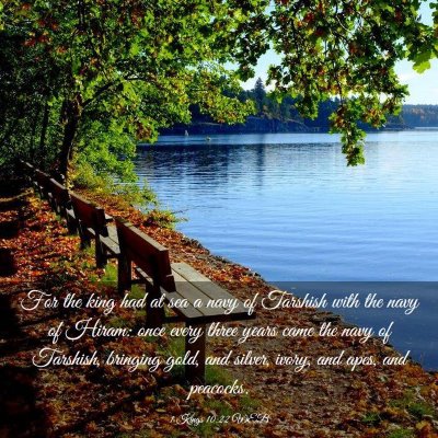 Picture 03 - 1 Kings 10:22 WEB - For the king had at sea a navy of Tarshish with - Bible Verse Picture