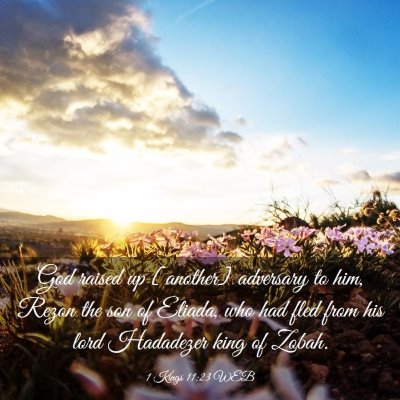 Picture 03 - 1 Kings 11:23 WEB - God raised up [another] adversary to him, Rezon - Bible Verse Picture