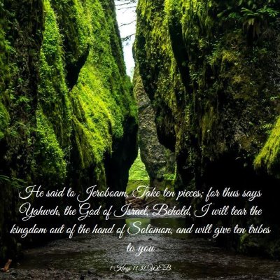 Picture 03 - 1 Kings 11:31 WEB - He said to Jeroboam, Take ten pieces; for thus - Bible Verse Picture