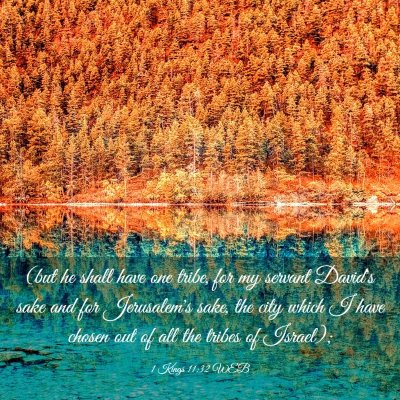 Picture 03 - 1 Kings 11:32 WEB - (but he shall have one tribe, for my servant - Bible Verse Picture