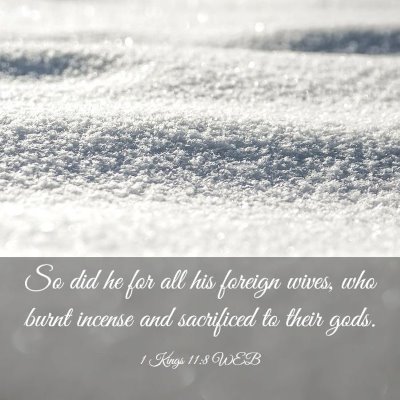 Picture 03 - 1 Kings 11:8 WEB - So did he for all his foreign wives, who burnt - Bible Verse Picture