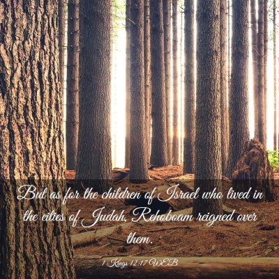 Picture 03 - 1 Kings 12:17 WEB - But as for the children of Israel who lived in - Bible Verse Picture