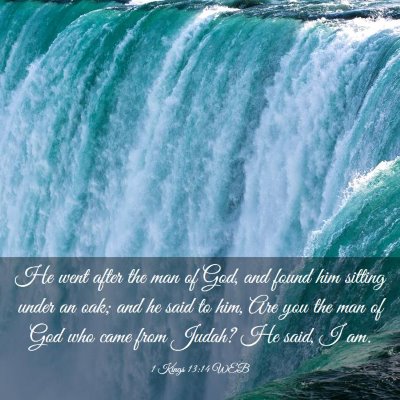 Picture 03 - 1 Kings 13:14 WEB - He went after the man of God, and found him - Bible Verse Picture