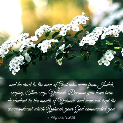 Picture 03 - 1 Kings 13:21 WEB - and he cried to the man of God who came from - Bible Verse Picture