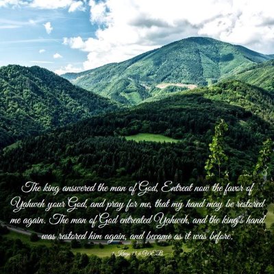 Picture 03 - 1 Kings 13:6 WEB - The king answered the man of God, Entreat now the - Bible Verse Picture