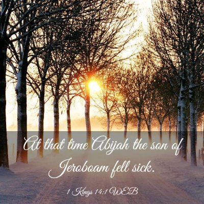 Picture 03 - 1 Kings 14:1 WEB - At that time Abijah the son of Jeroboam fell - Bible Verse Picture