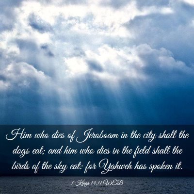 Picture 03 - 1 Kings 14:11 WEB - Him who dies of Jeroboam in the city shall the - Bible Verse Picture