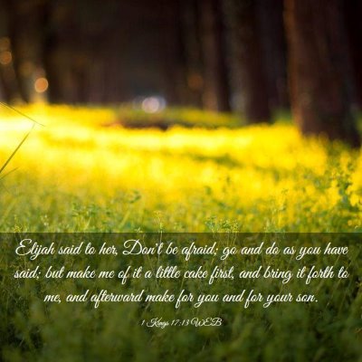 Picture 03 - 1 Kings 17:13 WEB - Elijah said to her, Don't be afraid; go and do as - Bible Verse Picture