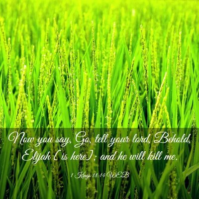 Picture 03 - 1 Kings 18:14 WEB - Now you say, Go, tell your lord, Behold, Elijah - Bible Verse Picture