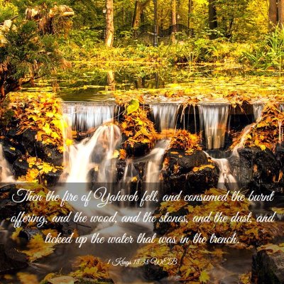 Picture 03 - 1 Kings 18:38 WEB - Then the fire of Yahweh fell, and consumed the - Bible Verse Picture