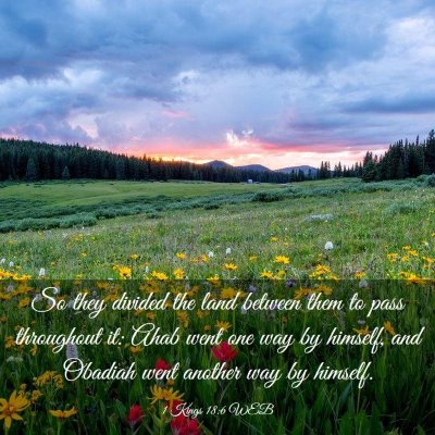 Picture 03 - 1 Kings 18:6 WEB - So they divided the land between them to pass - Bible Verse Picture
