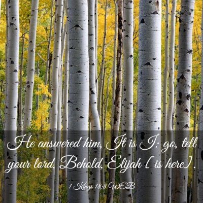 Picture 03 - 1 Kings 18:8 WEB - He answered him, It is I: go, tell your lord, - Bible Verse Picture