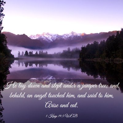 Picture 03 - 1 Kings 19:5 WEB - He lay down and slept under a juniper tree; and, - Bible Verse Picture