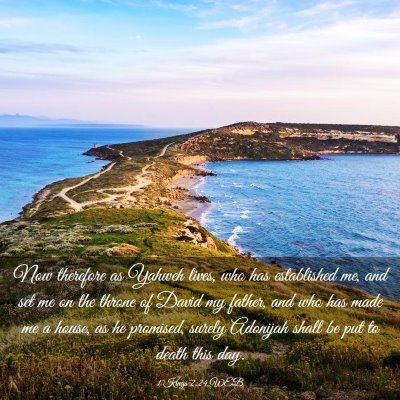 Picture 03 - 1 Kings 2:24 WEB - Now therefore as Yahweh lives, who has - Bible Verse Picture