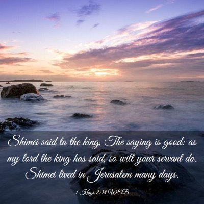 Picture 03 - 1 Kings 2:38 WEB - Shimei said to the king, The saying is good: as - Bible Verse Picture