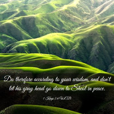 Picture 03 - 1 Kings 2:6 WEB - Do therefore according to your wisdom, and don't - Bible Verse Picture