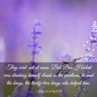 Picture 03 - 1 Kings 20:16 WEB - They went out at noon. But Ben Hadad was drinking - Bible Verse Picture
