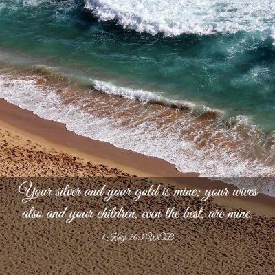 Picture 03 - 1 Kings 20:3 WEB - Your silver and your gold is mine; your wives - Bible Verse Picture