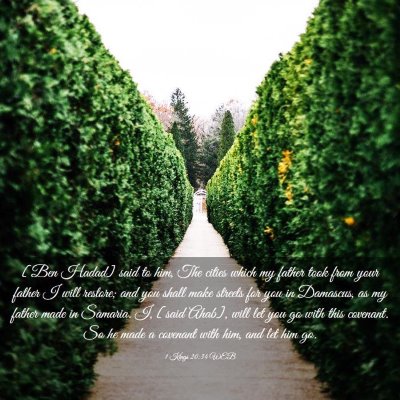 Picture 03 - 1 Kings 20:34 WEB - [Ben Hadad] said to him, The cities which my - Bible Verse Picture