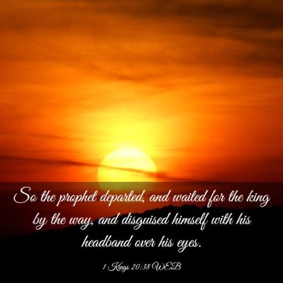 Picture 03 - 1 Kings 20:38 WEB - So the prophet departed, and waited for the king - Bible Verse Picture