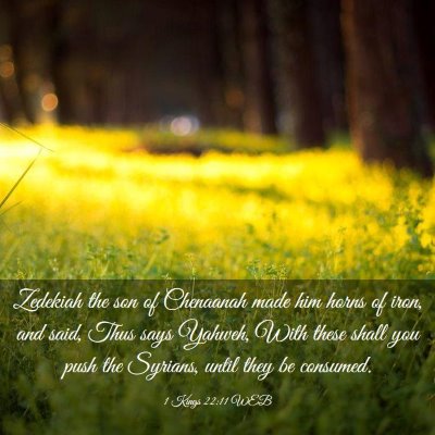 Picture 03 - 1 Kings 22:11 WEB - Zedekiah the son of Chenaanah made him horns of - Bible Verse Picture