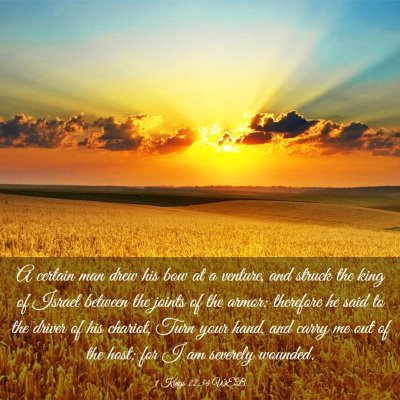Picture 03 - 1 Kings 22:34 WEB - A certain man drew his bow at a venture, and - Bible Verse Picture