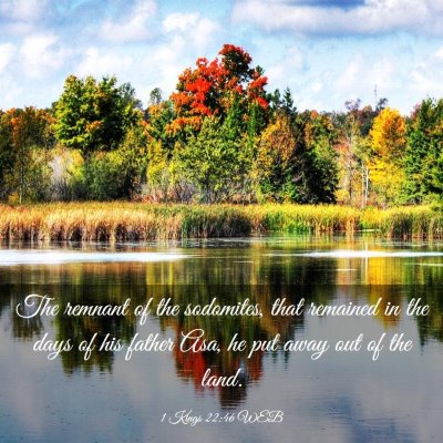 Picture 03 - 1 Kings 22:46 WEB - The remnant of the sodomites, that remained in - Bible Verse Picture