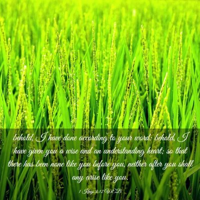 Picture 03 - 1 Kings 3:12 WEB - behold, I have done according to your word: - Bible Verse Picture