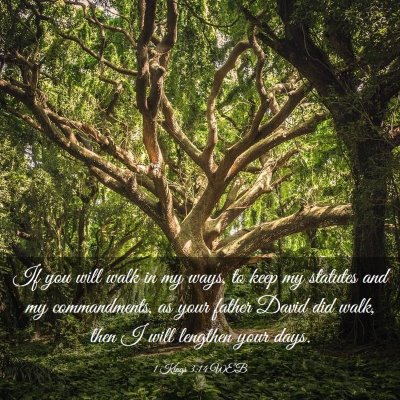 Picture 03 - 1 Kings 3:14 WEB - If you will walk in my ways, to keep my statutes - Bible Verse Picture