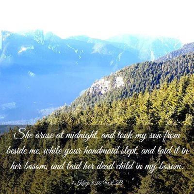 Picture 03 - 1 Kings 3:20 WEB - She arose at midnight, and took my son from - Bible Verse Picture