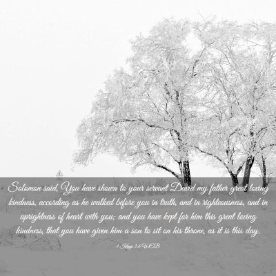 Picture 03 - 1 Kings 3:6 WEB - Solomon said, You have shown to your servant - Bible Verse Picture