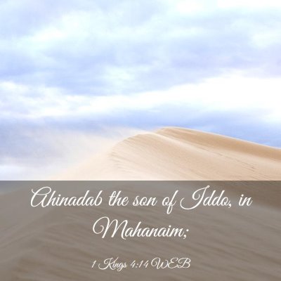 Picture 03 - 1 Kings 4:14 WEB - Ahinadab the son of Iddo, in - Bible Verse Picture