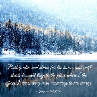 Picture 03 - 1 Kings 4:28 WEB - Barley also and straw for the horses and swift - Bible Verse Picture