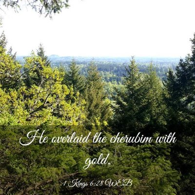 Picture 03 - 1 Kings 6:28 WEB - He overlaid the cherubim with - Bible Verse Picture