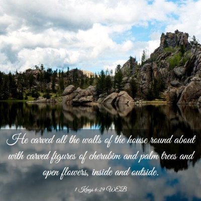 Picture 03 - 1 Kings 6:29 WEB - He carved all the walls of the house round about - Bible Verse Picture