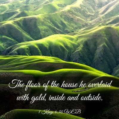 Picture 03 - 1 Kings 6:30 WEB - The floor of the house he overlaid with gold, - Bible Verse Picture