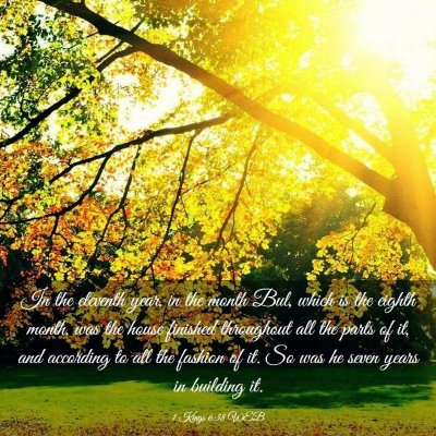 Picture 03 - 1 Kings 6:38 WEB - In the eleventh year, in the month Bul, which is - Bible Verse Picture