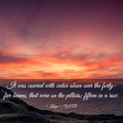 Picture 03 - 1 Kings 7:3 WEB - It was covered with cedar above over the - Bible Verse Picture