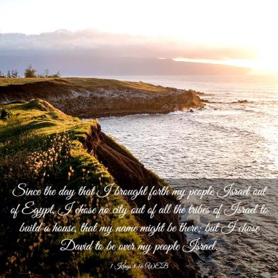 Picture 03 - 1 Kings 8:16 WEB - Since the day that I brought forth my people - Bible Verse Picture