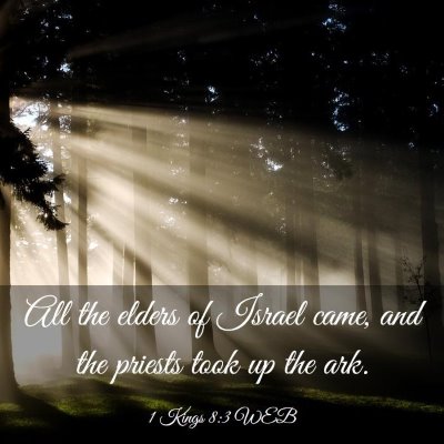 Picture 03 - 1 Kings 8:3 WEB - All the elders of Israel came, and the priests - Bible Verse Picture