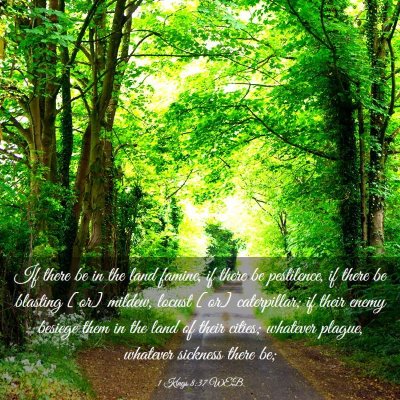 Picture 03 - 1 Kings 8:37 WEB - If there be in the land famine, if there be - Bible Verse Picture