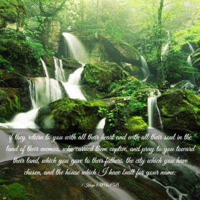 Picture 03 - 1 Kings 8:48 WEB - if they return to you with all their heart and - Bible Verse Picture
