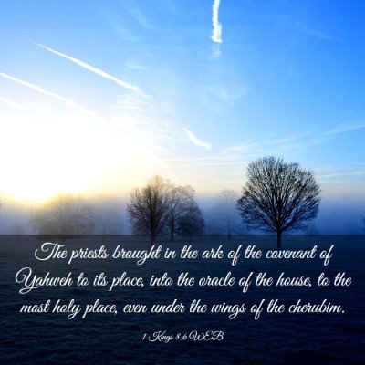 Picture 03 - 1 Kings 8:6 WEB - The priests brought in the ark of the covenant of - Bible Verse Picture