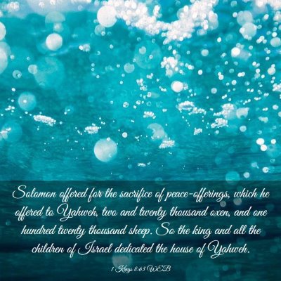 Picture 03 - 1 Kings 8:63 WEB - Solomon offered for the sacrifice of - Bible Verse Picture