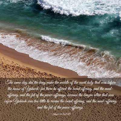 Picture 03 - 1 Kings 8:64 WEB - The same day did the king make the middle of the - Bible Verse Picture