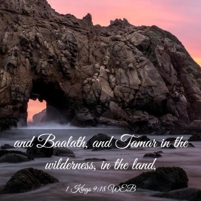 Picture 03 - 1 Kings 9:18 WEB - and Baalath, and Tamar in the wilderness, in the - Bible Verse Picture