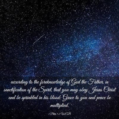Picture 03 - 1 Peter 1:2 WEB - according to the foreknowledge of God the Father, - Bible Verse Picture